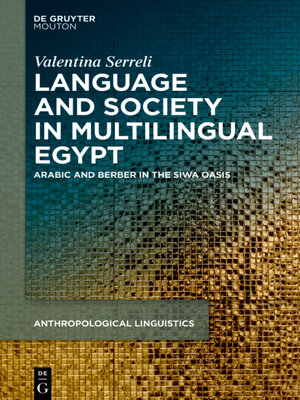 cover image of Language, Society and Ideologies in Multilingual Egypt
